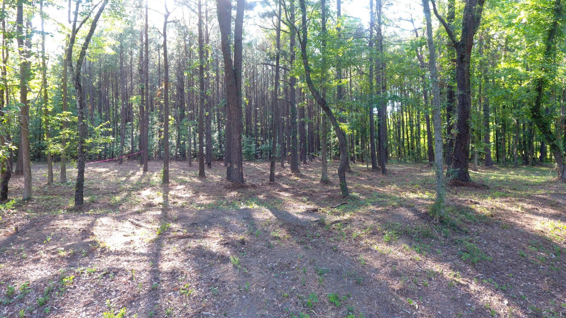 0 Tasman Lane Photo 61