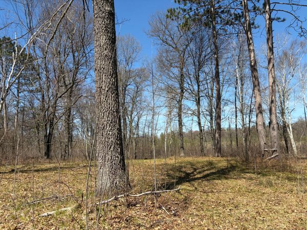 TBD 6 Miramar Road, Spooner, WI 54801