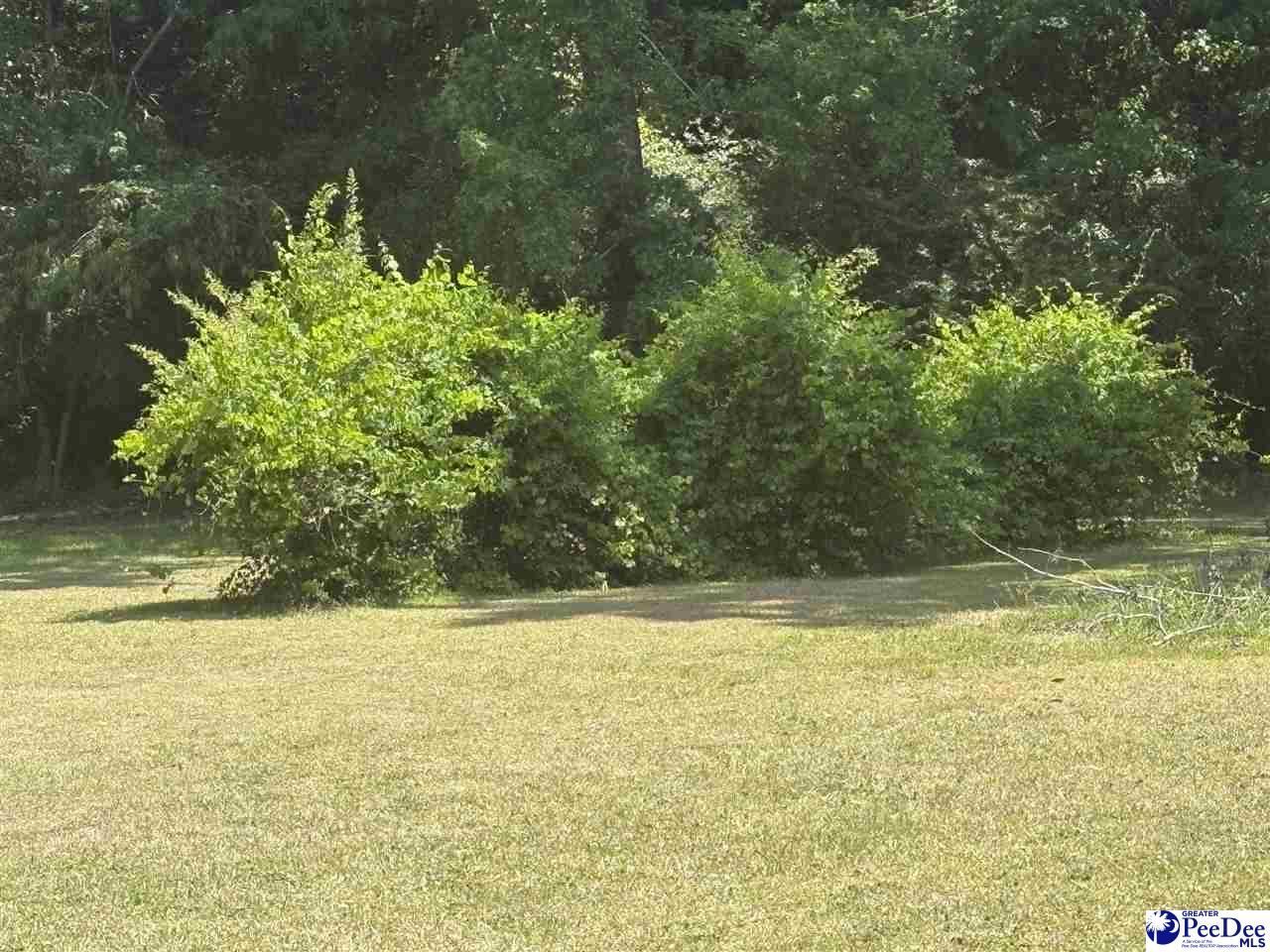 10555 Douglas Swamp Rd Photo 15