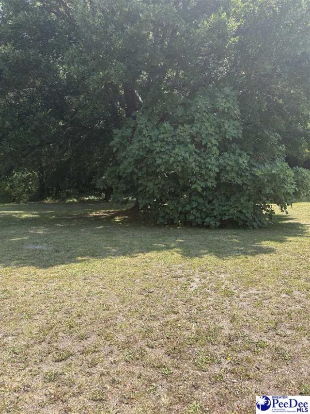 10555 Douglas Swamp Rd Photo 16