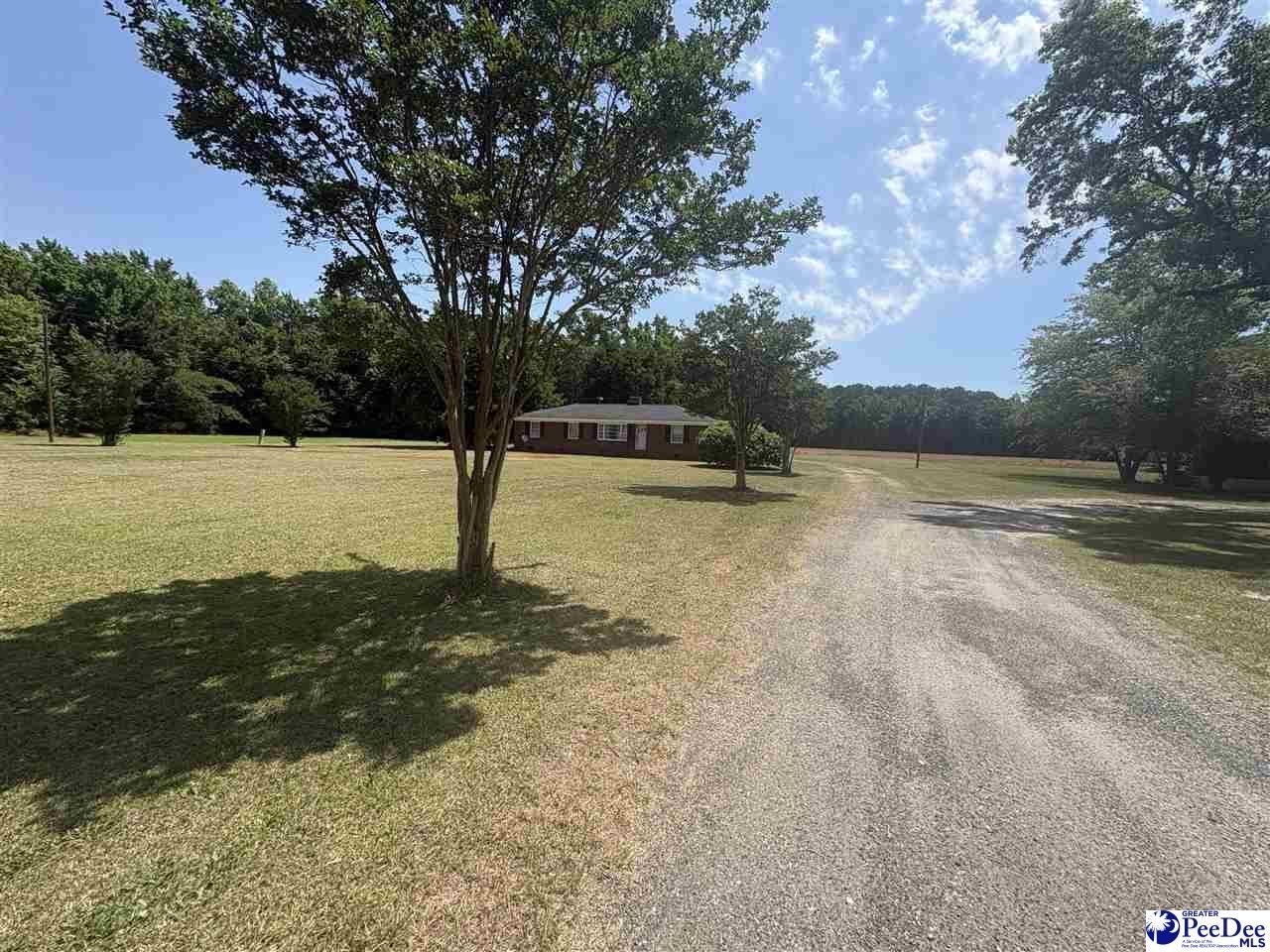 10555 Douglas Swamp Rd Photo 18