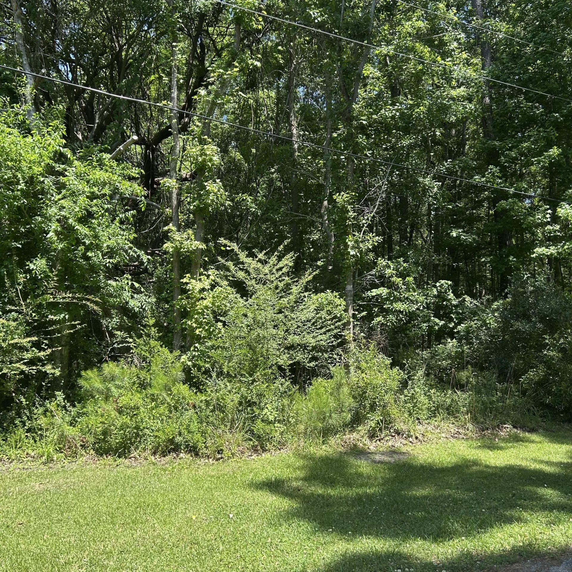 0 Pritchard Green Road Photo 4