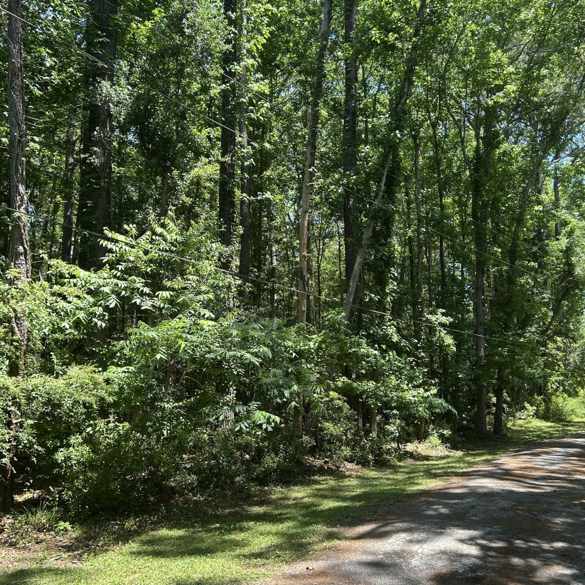 0 Pritchard Green Road Photo 5