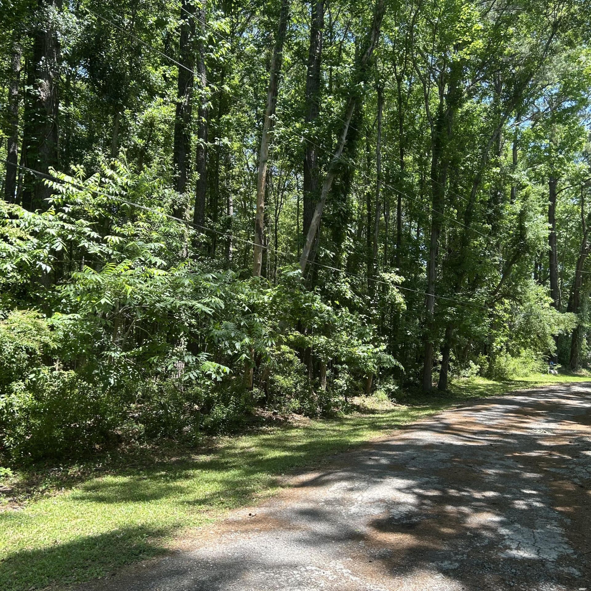 0 Pritchard Green Road Photo 6