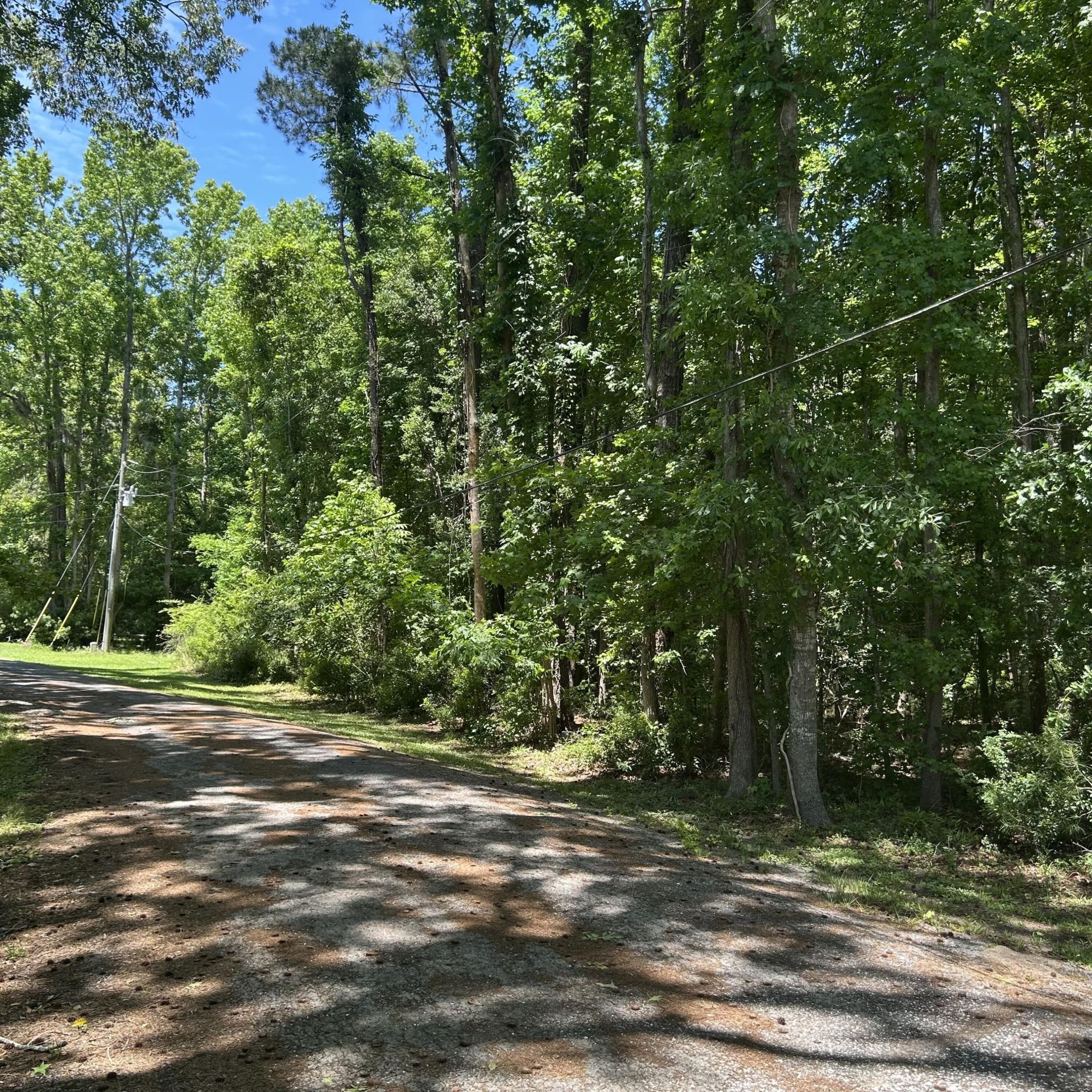 0 Pritchard Green Road Photo 7