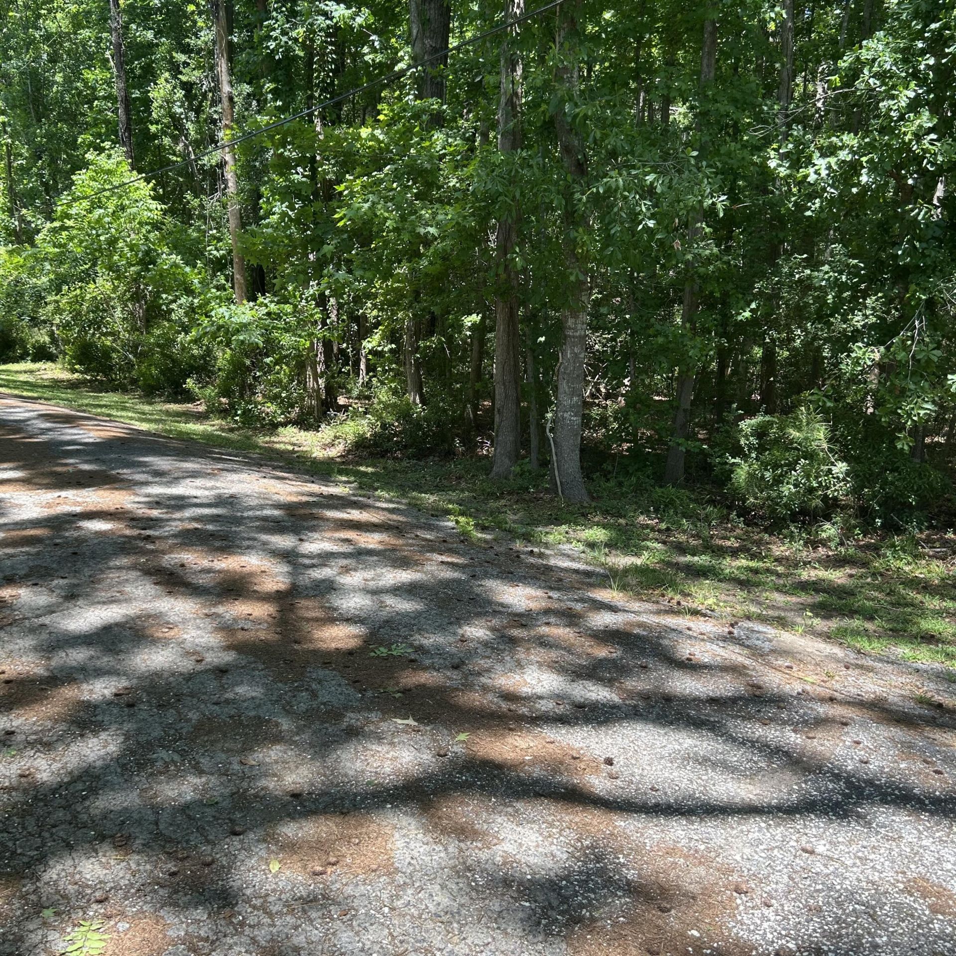 0 Pritchard Green Road Photo 8