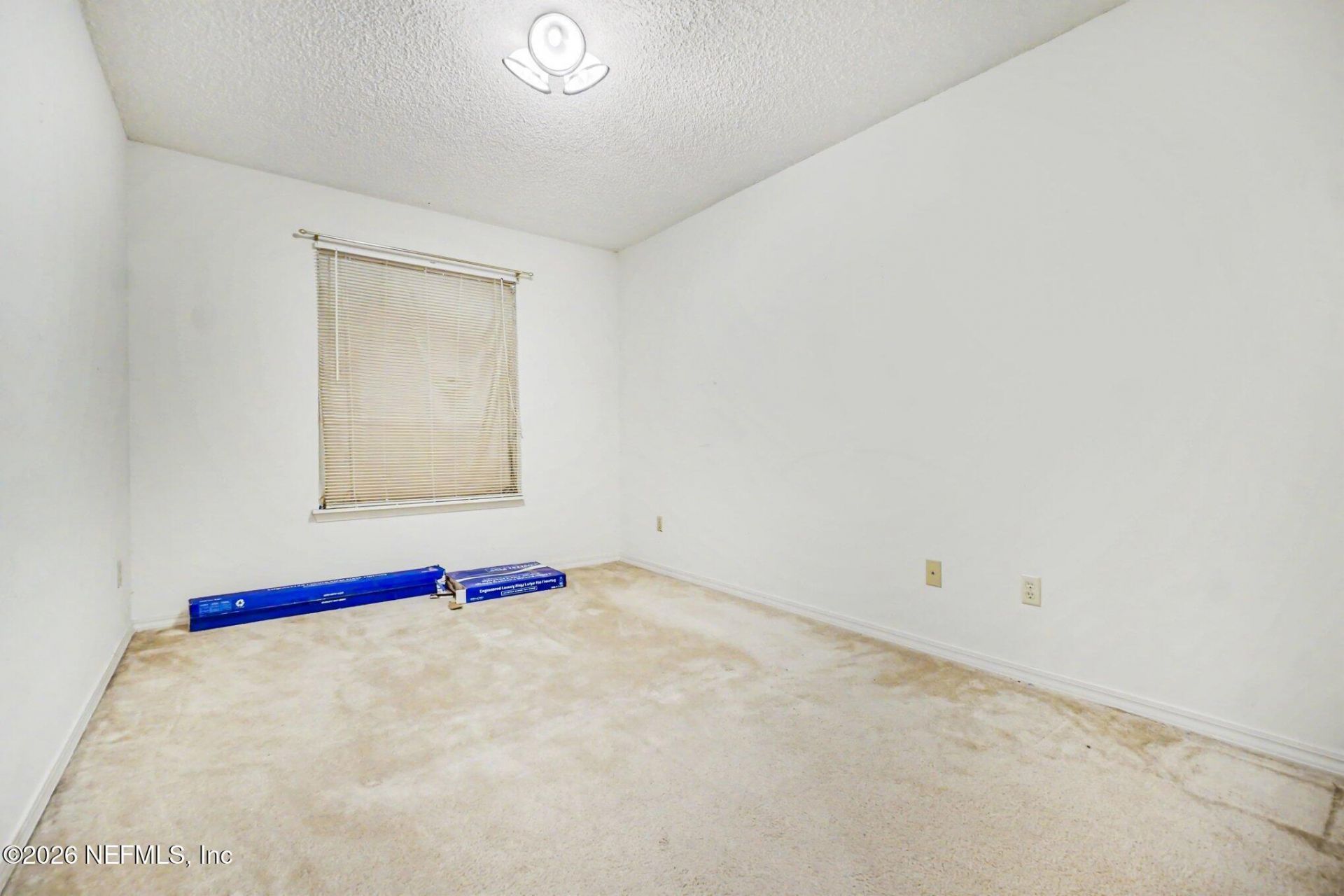 11285 Lake Mandarin Circle E, Jacksonville, FL 32223 Photo