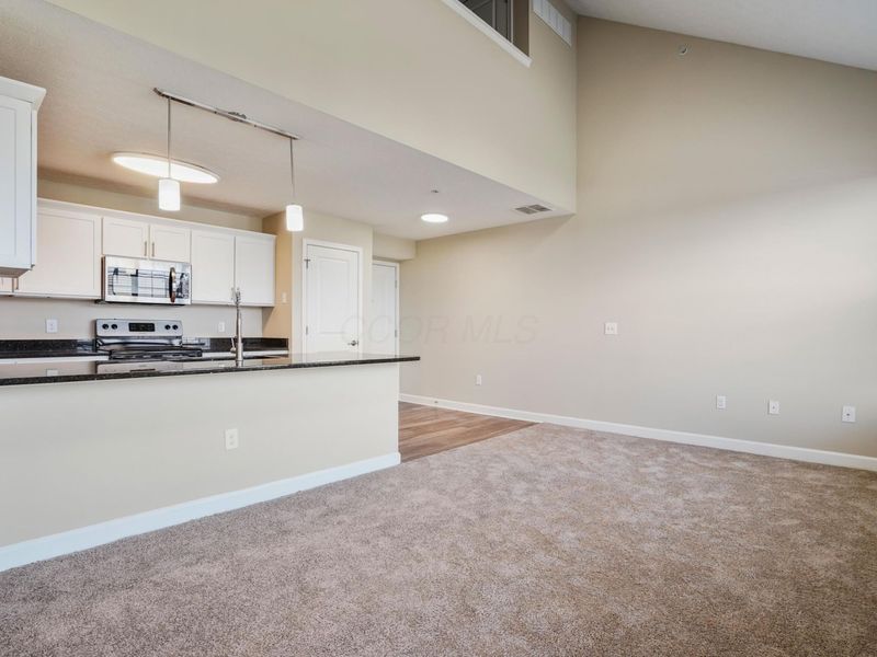 5906 Whitebark Pine Trail , Dublin, OH 43016 Photo 20