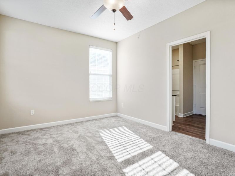 5906 Whitebark Pine Trail , Dublin, OH 43016 Photo 23