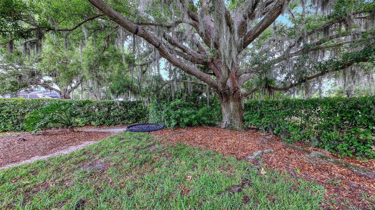 7025 N Serenoa Drive, Sarasota, FL 34241 Photo
