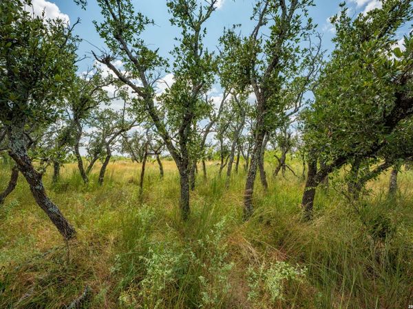 1445 Cave Wells Rd., Fort McKavett, TX 76841