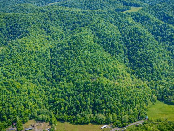 000 Fairview Road, Duffield, VA 24244