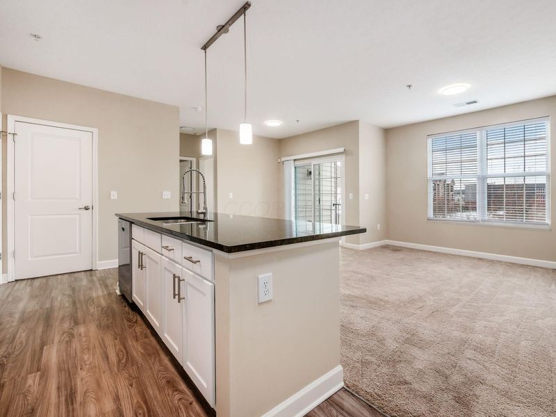 5838 Whitebark Pine Trail , Dublin, OH 43016 Photo 1