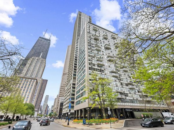 1000 N Lake Shore Drive, Unit 808, Chicago, IL 60611