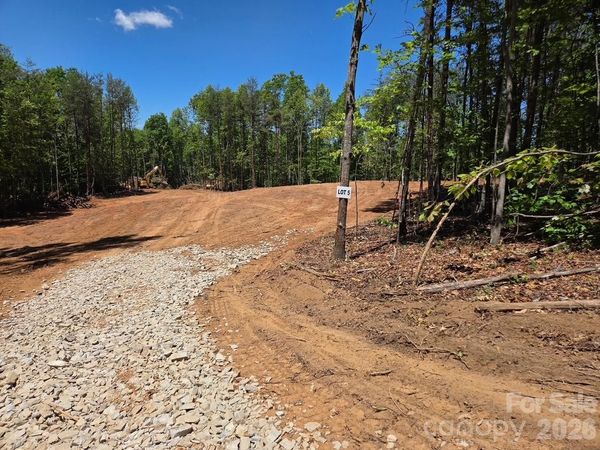 TBD Vein Mountain Road, Nebo, NC 28761