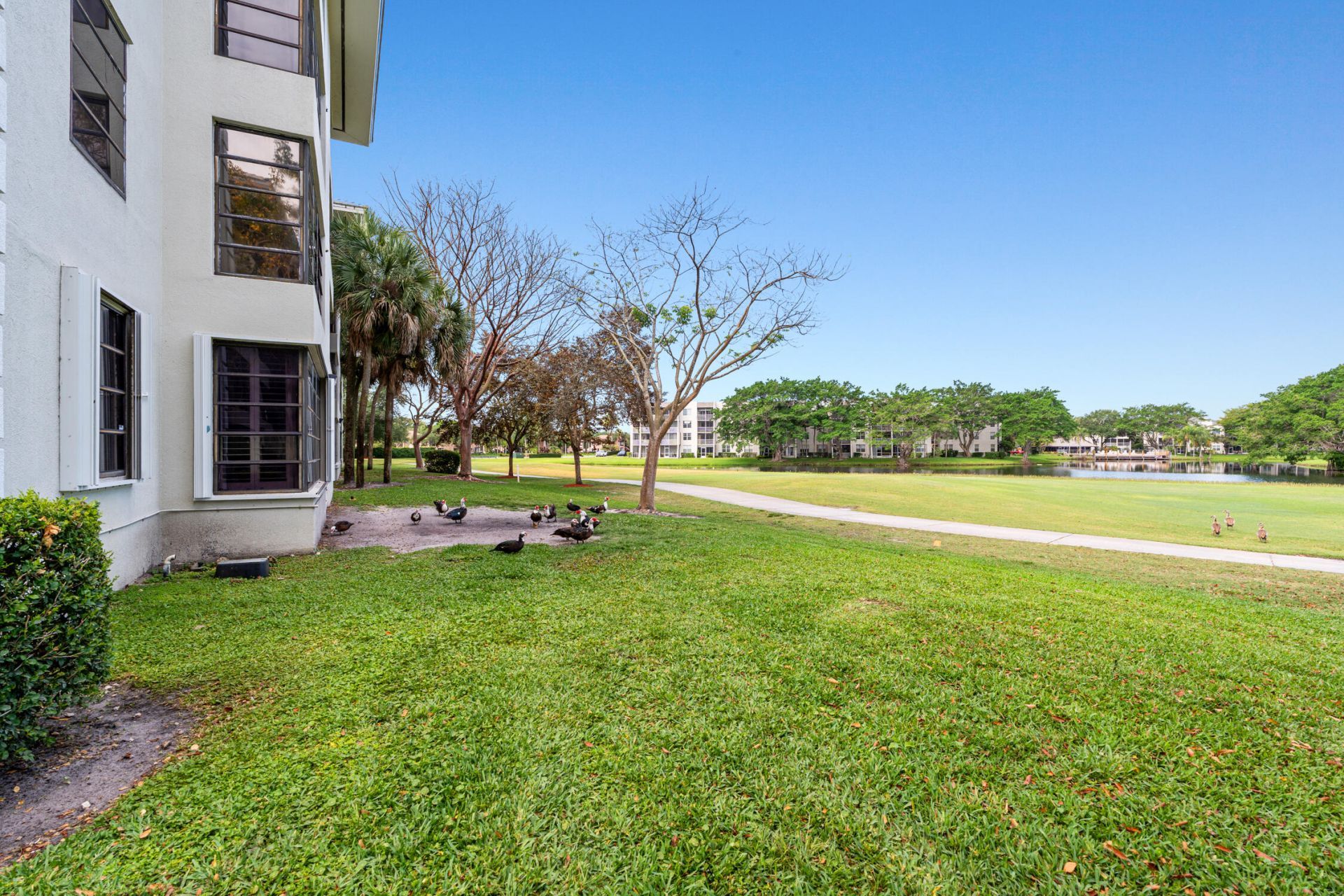 1713 Whitehall Drive, Unit 106, Davie, FL 33324 Photo