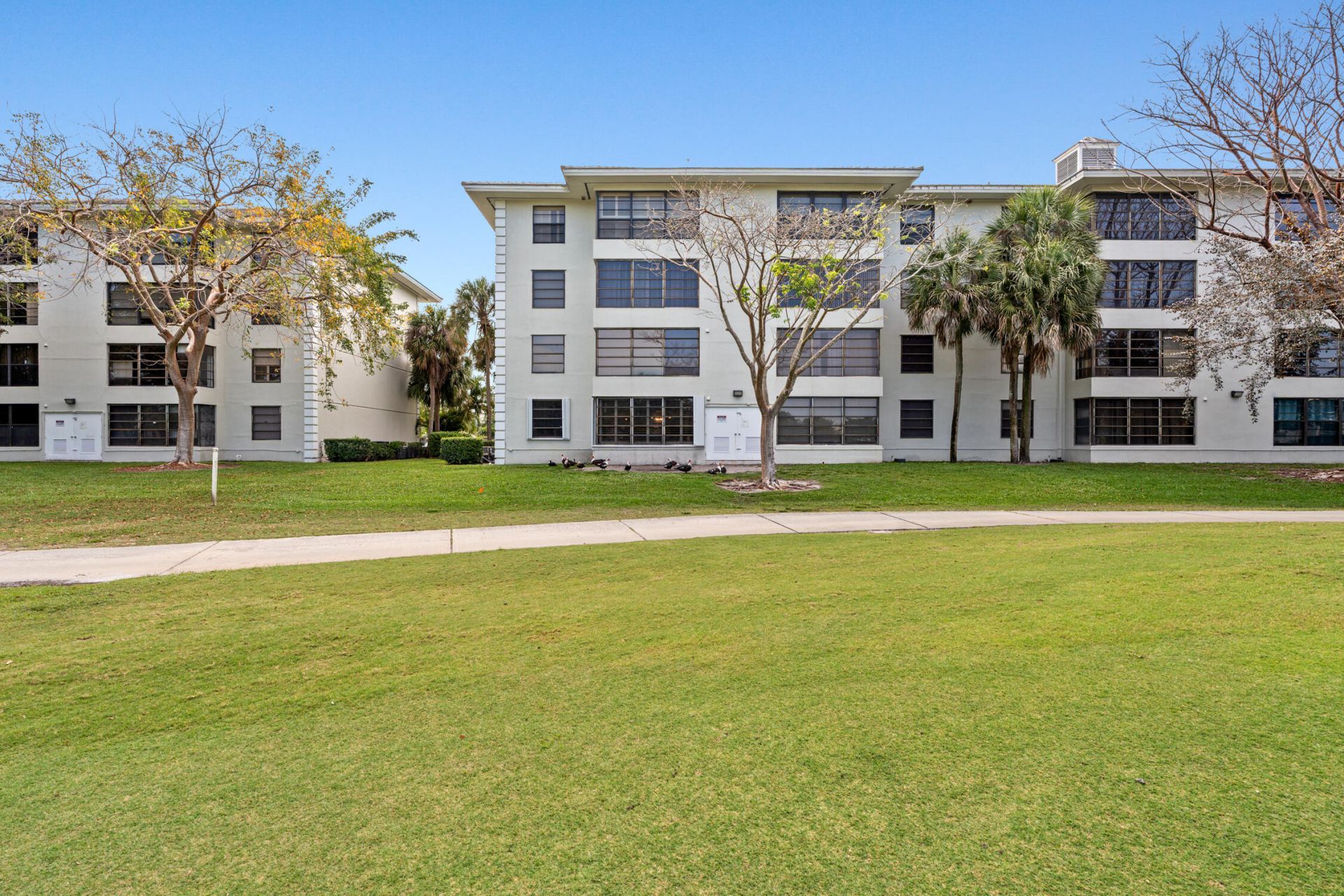 1713 Whitehall Drive, Unit 106, Davie, FL 33324 Photo