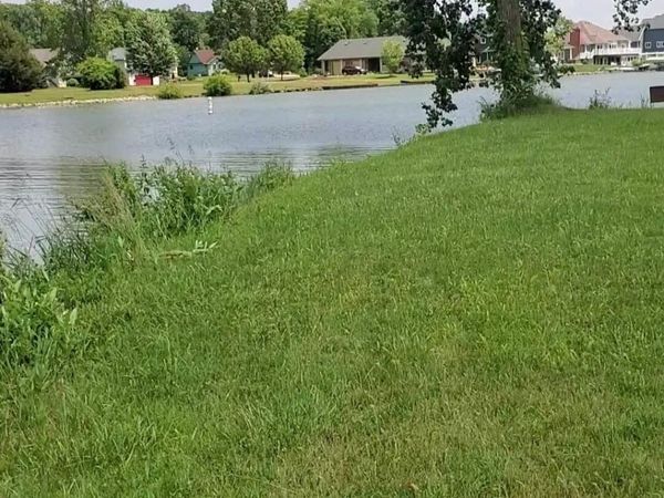 Castlebar Lane, Onsted, MI 49265