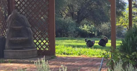 6880 Kahala Rd, Garden Valley, CA 95633 Photo