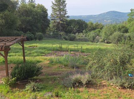 6880 Kahala Rd, Garden Valley, CA 95633 Photo