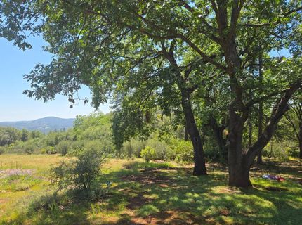 6880 Kahala Rd, Garden Valley, CA 95633 Photo