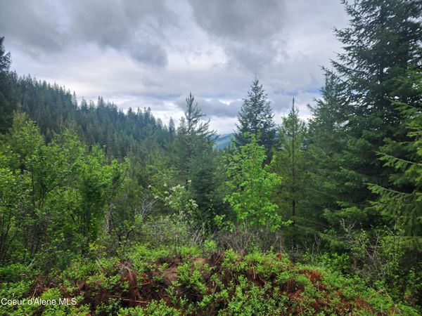 370 Hemlock LN, Fernwood, ID 83830