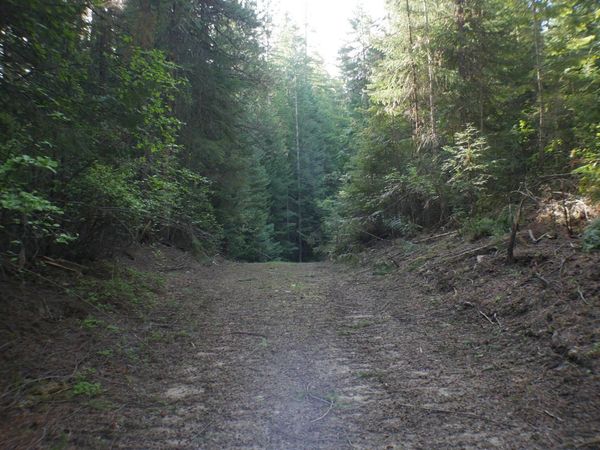 370 Hemlock LN, Fernwood, ID 83830