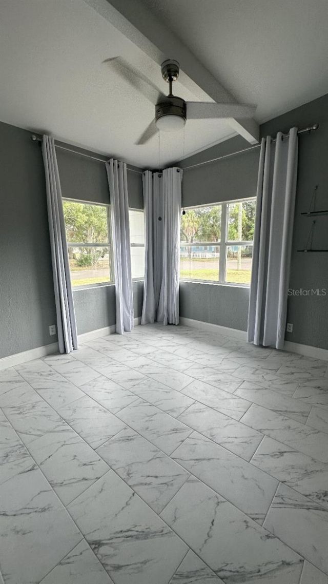 4830 Chancellor Street Ne, Saint Petersburg, FL 33703 Photo