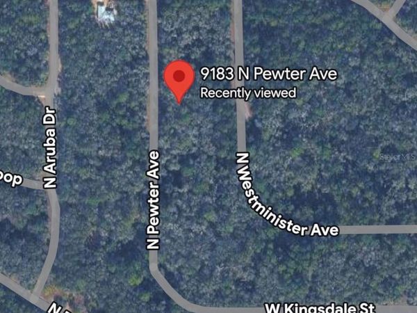 9183 N PEWTER AVENUE, DUNNELLON, FL 34434