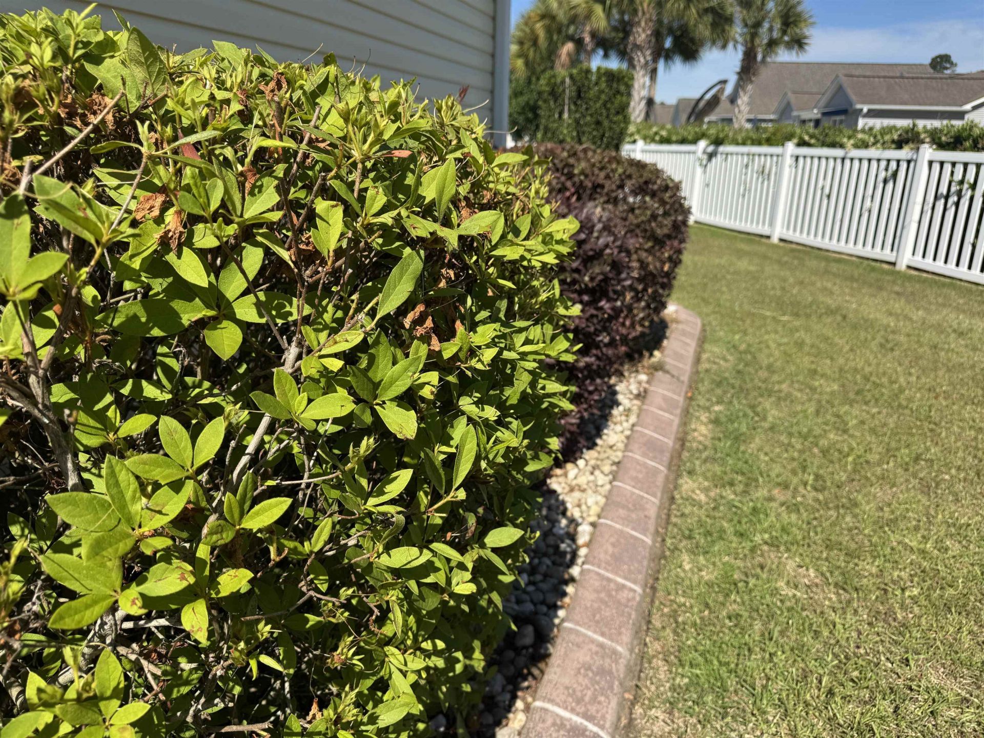 293 Southern Breezes Circle Photo 46