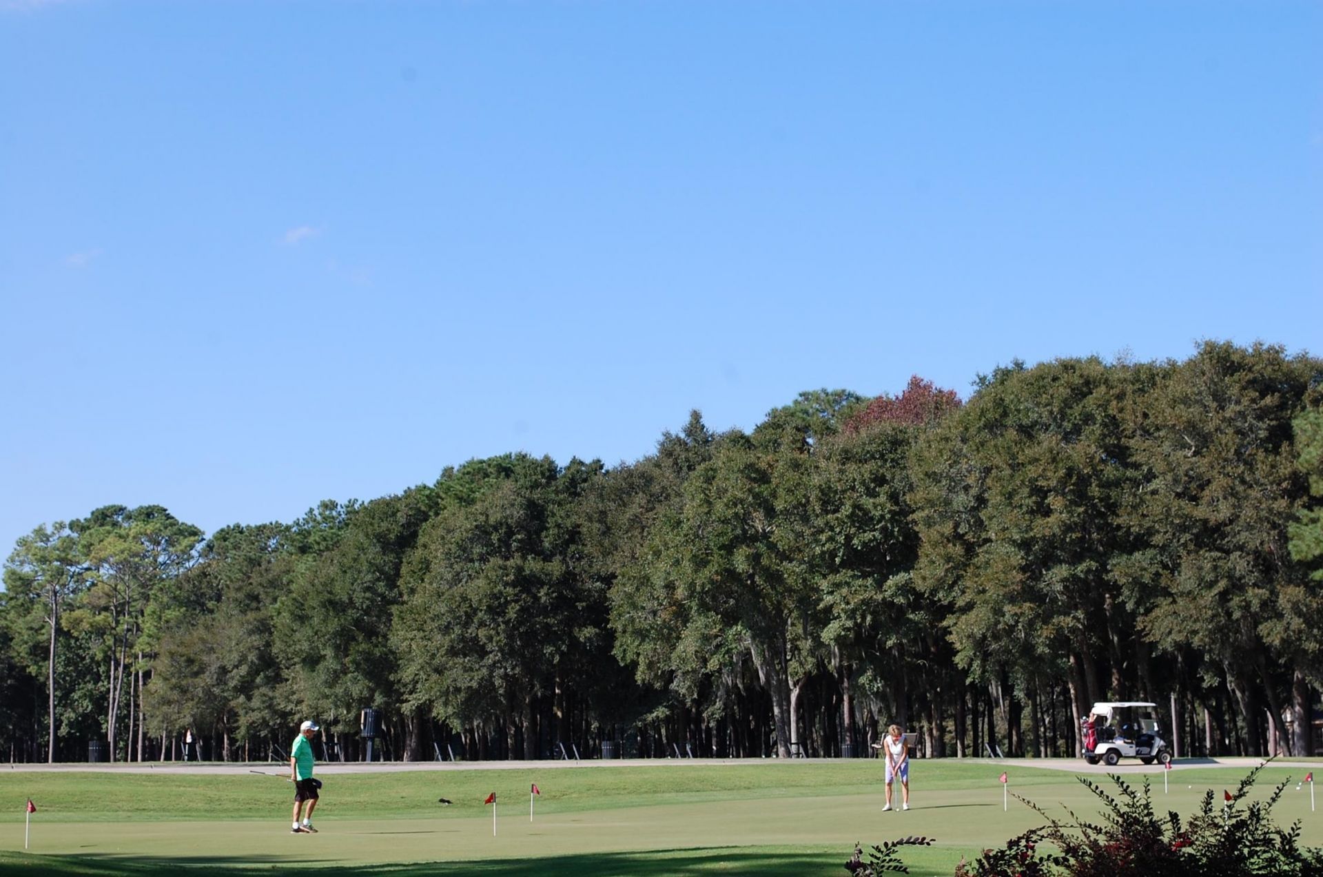 293 Southern Breezes Circle Photo 56