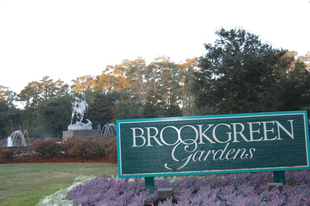 293 Southern Breezes Circle Photo 59
