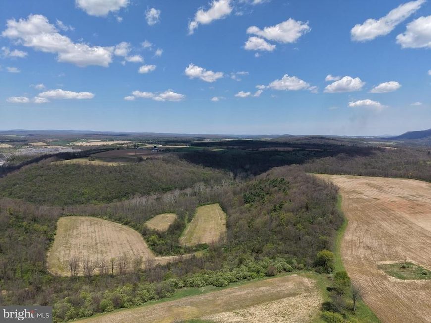 Tract 4: 39.99+/- Acres Union Furnace Rd , Tyrone, PA 16686 Main Photo