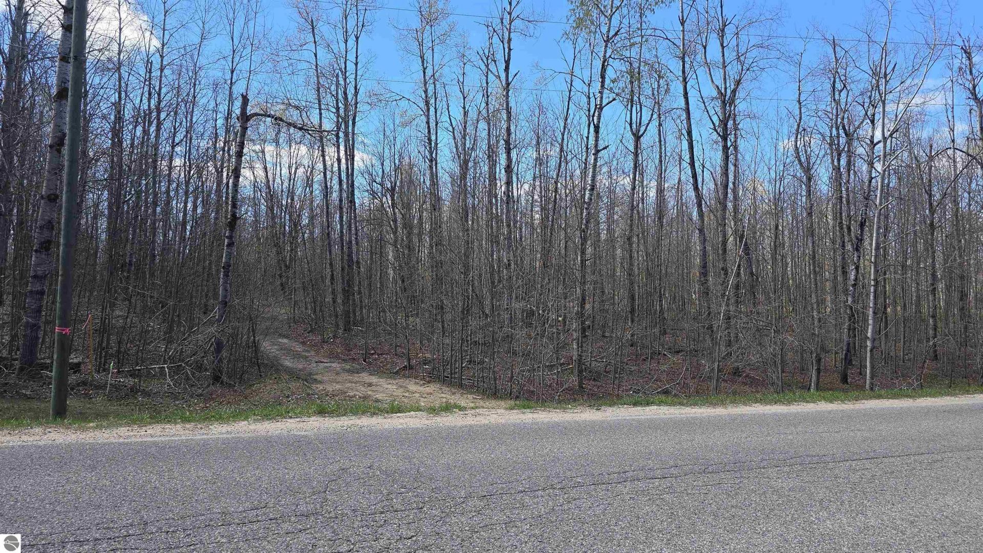 457 Pineview Drive, Mancelona, MI 49730 Main Photo