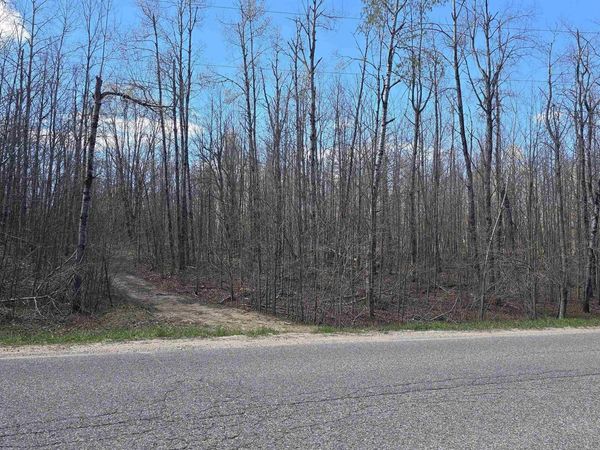 457 Pineview Drive, Mancelona, MI 49730
