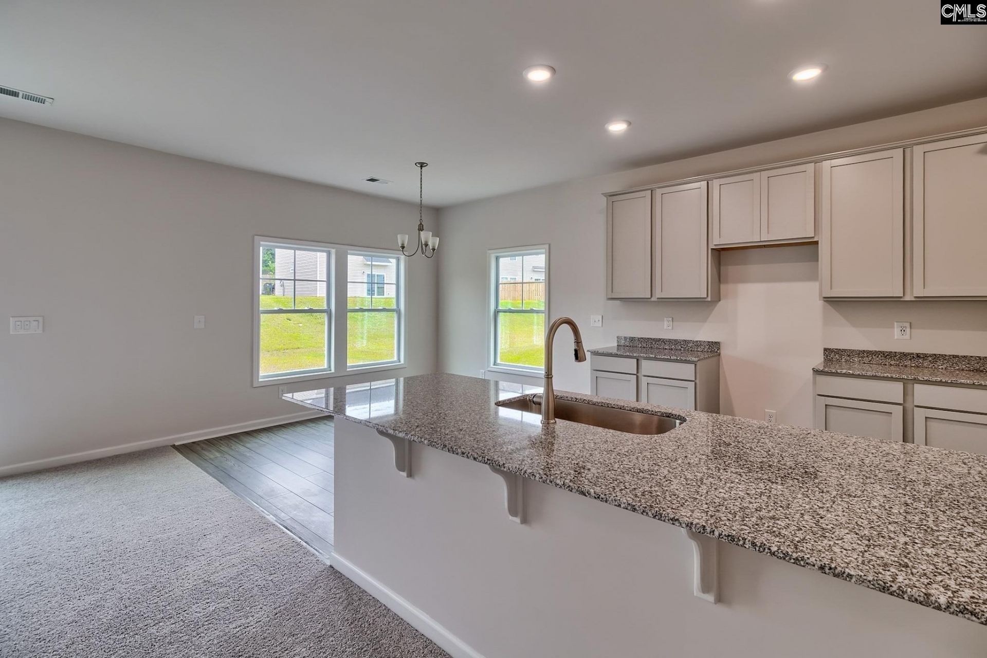 820 Daniel Lake Court  Photo 19