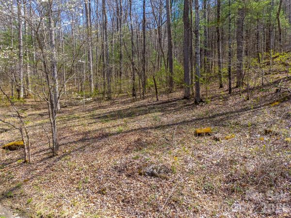 306 Cedar Creek Farm Road , Tuckasegee, NC 28783