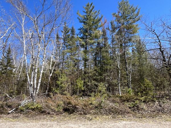 Lot 268 Pineview Road, Presque Isle, MI 49777