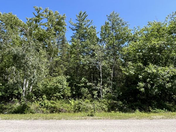 Lot 268 Pineview Road, Presque Isle, MI 49777
