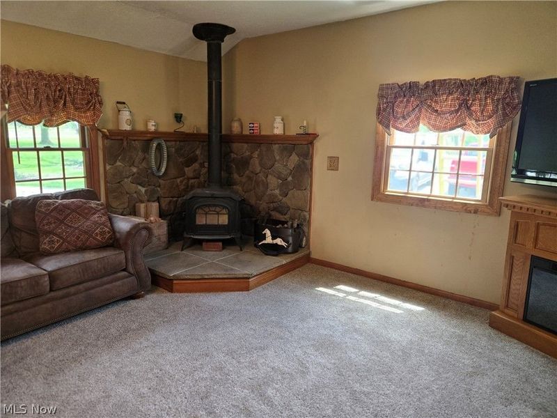 27608 State Route 58, Wellington, OH 44090 Photo 30