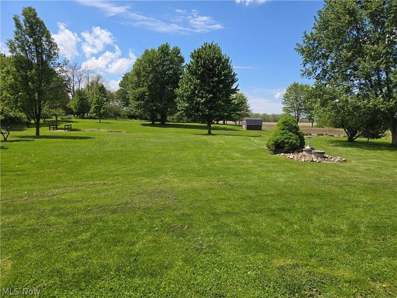 27608 State Route 58, Wellington, OH 44090 Photo 6