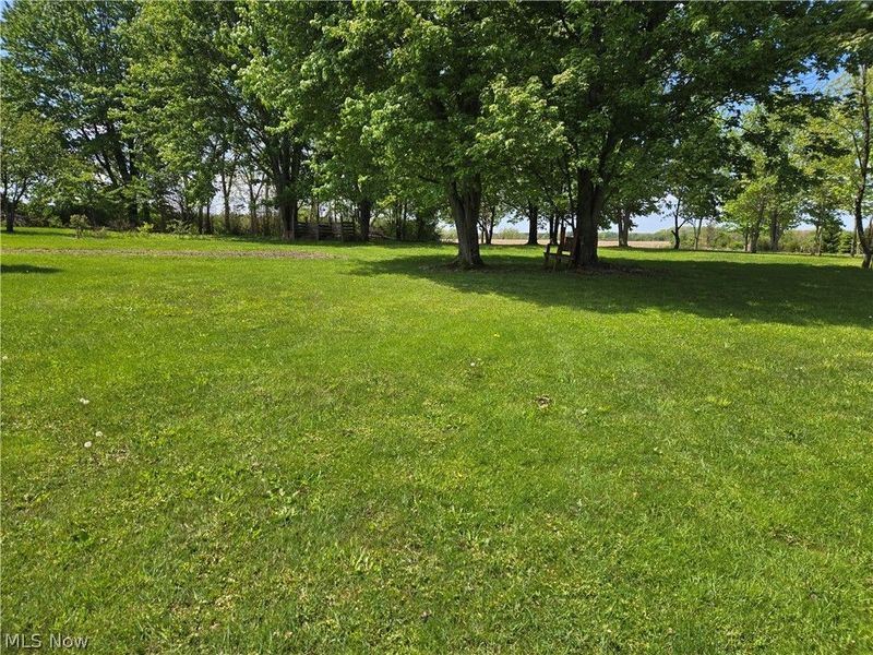 27608 State Route 58, Wellington, OH 44090 Photo 9