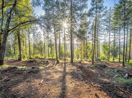 6880 Wentworth Springs Rd, Georgetown, CA 95634 Photo