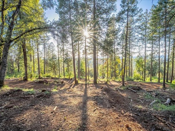 6880 Wentworth Springs Rd, Georgetown, CA 95634