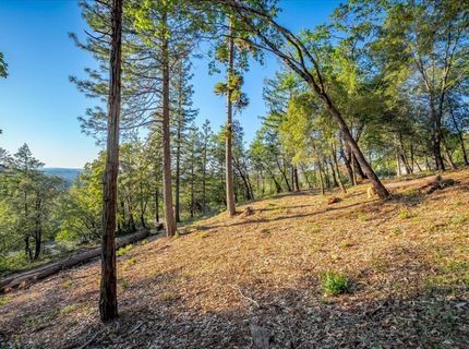 6880 Wentworth Springs Rd, Georgetown, CA 95634 Photo