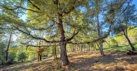 6880 Wentworth Springs Rd, Georgetown, CA 95634 Photo