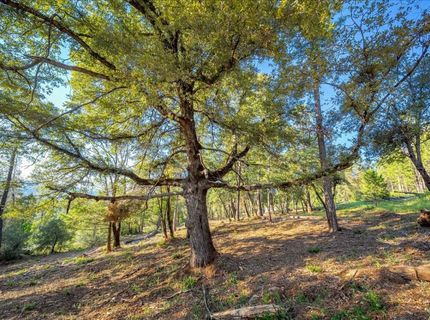 6880 Wentworth Springs Rd, Georgetown, CA 95634 Photo