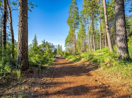 6880 Wentworth Springs Rd, Georgetown, CA 95634 Photo
