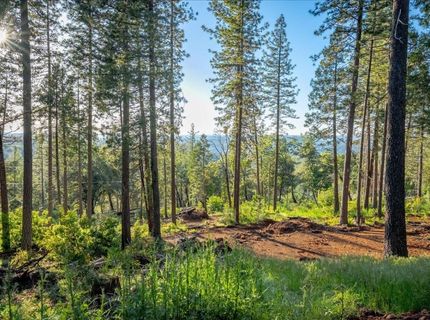 6880 Wentworth Springs Rd, Georgetown, CA 95634 Photo