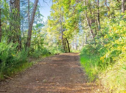 6880 Wentworth Springs Rd, Georgetown, CA 95634 Photo